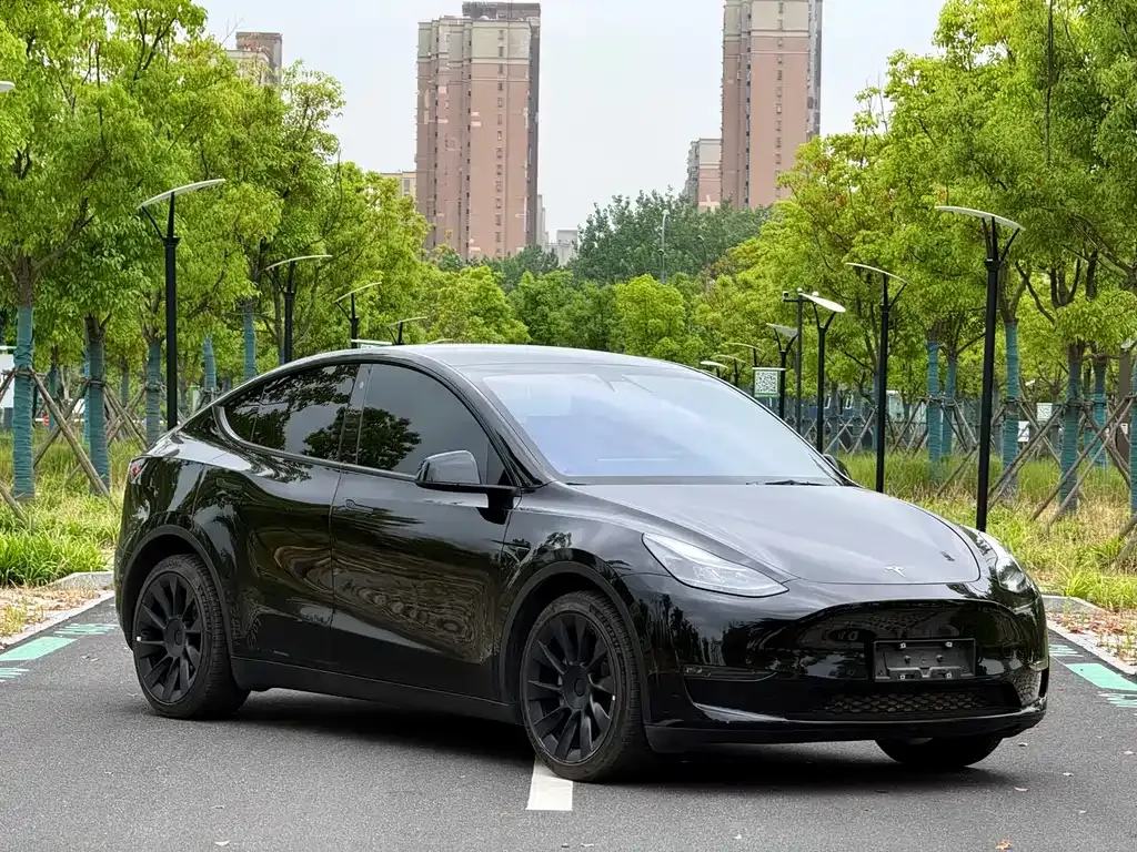 Tesla Model Y — фото 7