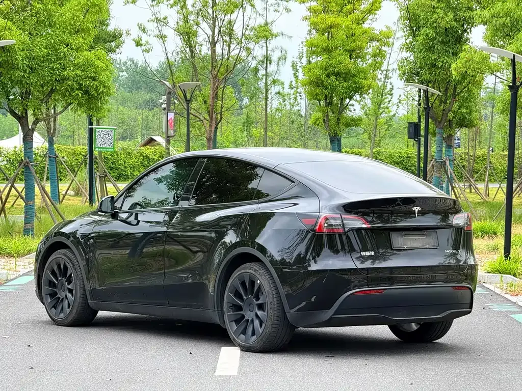 Tesla Model Y — фото 9