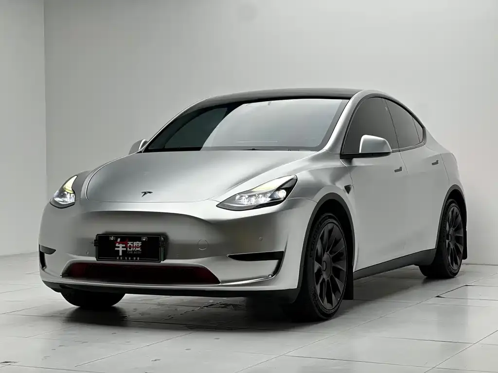 Tesla Model Y — фото 1