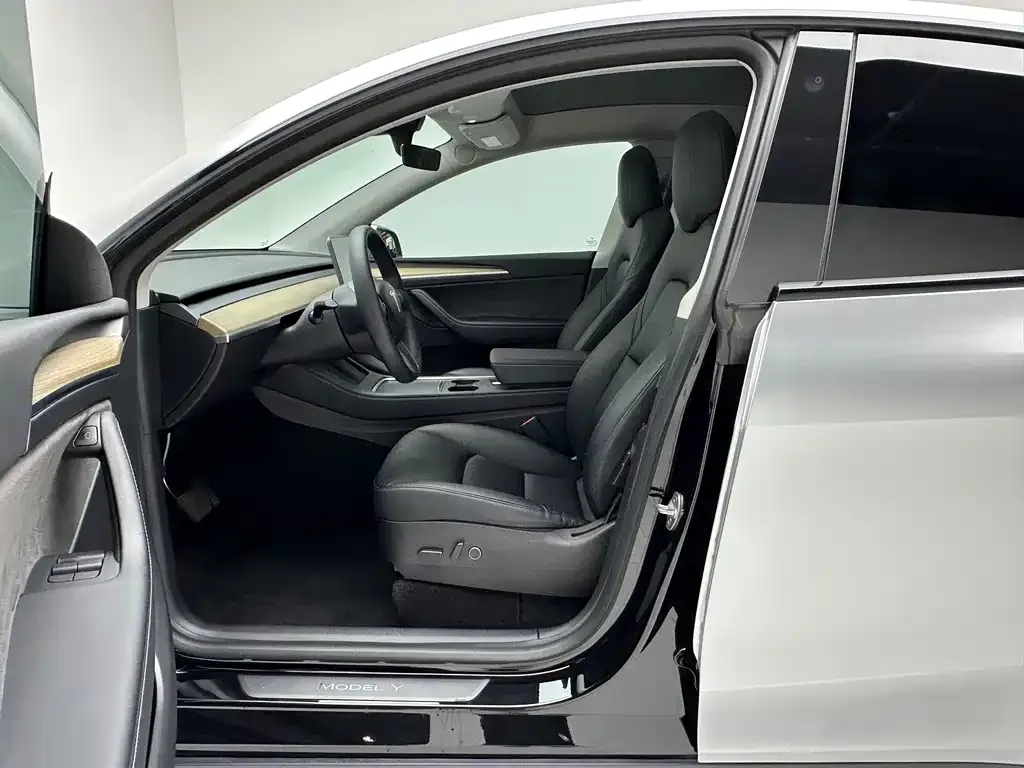 Tesla Model Y — фото 10