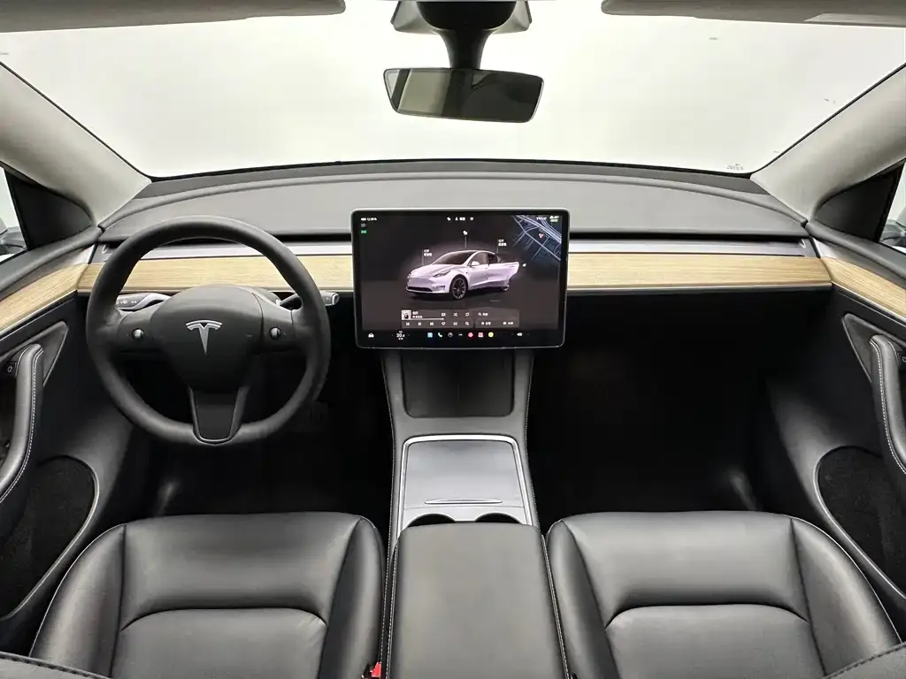 Tesla Model Y — фото 9