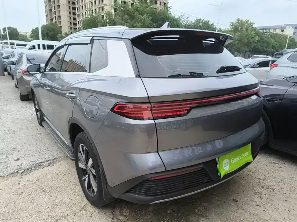 BYD Pro New Energy 2024 из CN, фото 6
