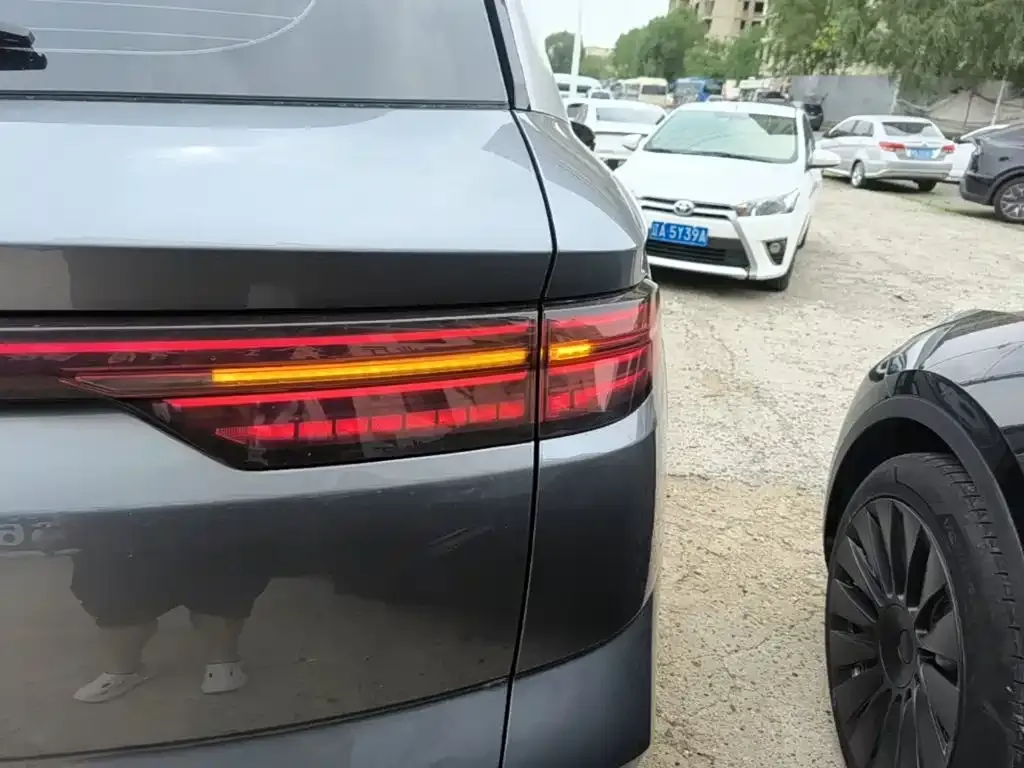 BYD Pro New Energy 2024 из CN, фото 8