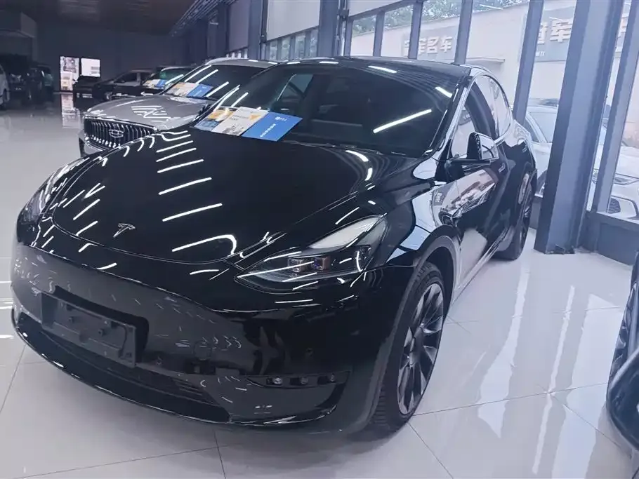 Tesla Model Y — фото 1