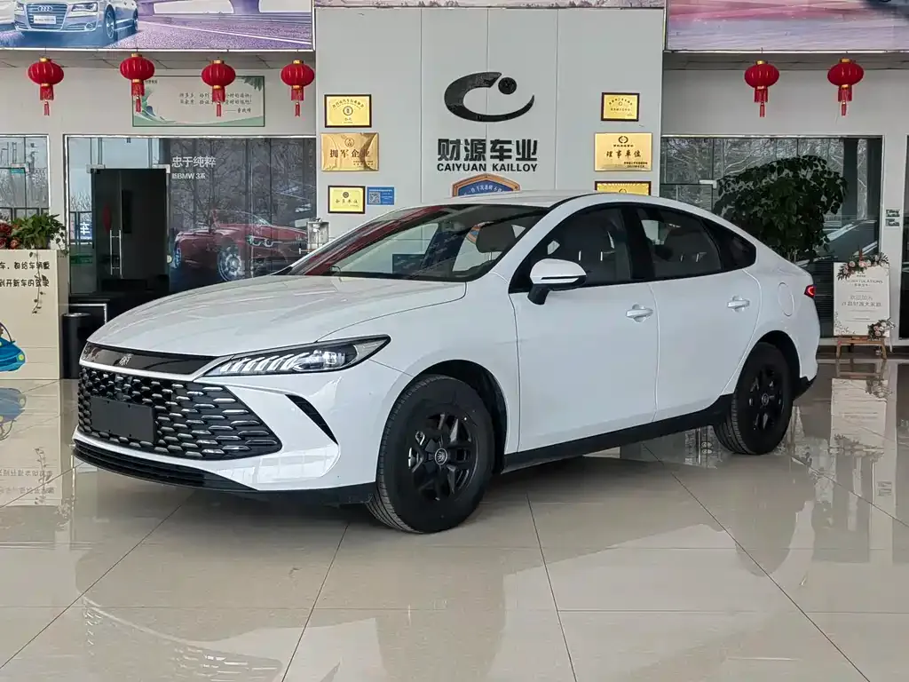 BYD Qin PLUS — фото 1