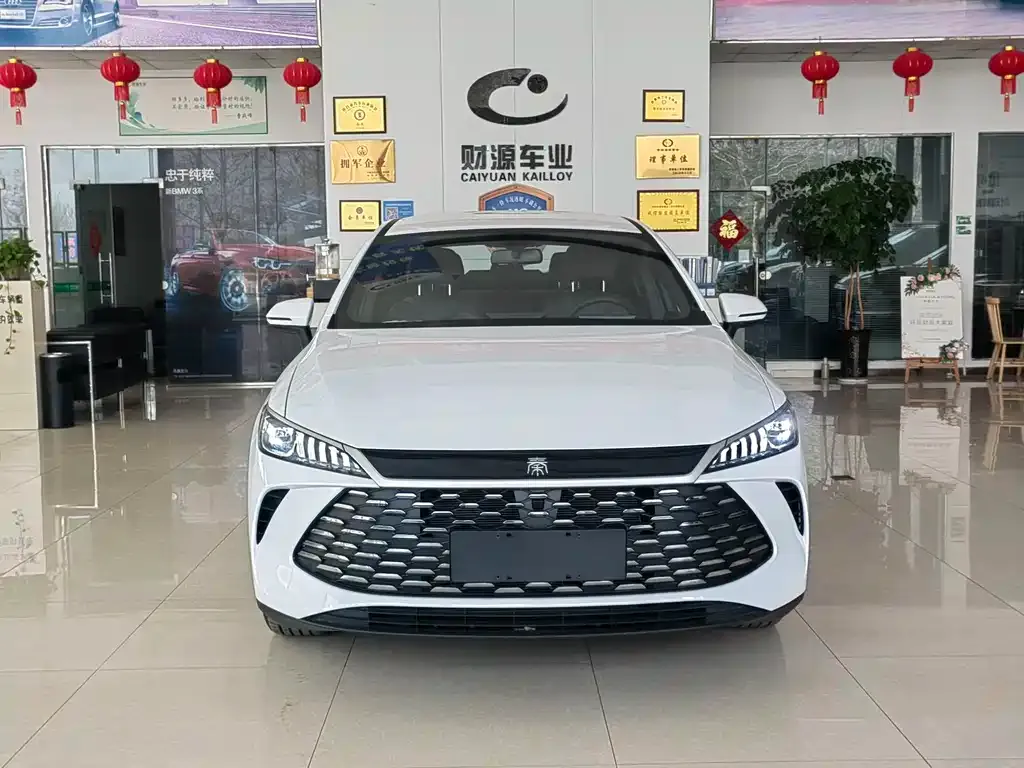BYD Qin PLUS — фото 8