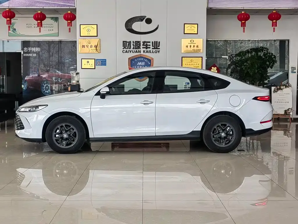 BYD Qin PLUS — фото 9