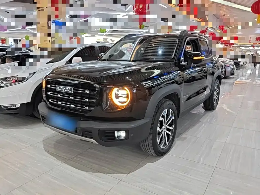 Haval Big Dog — фото 2
