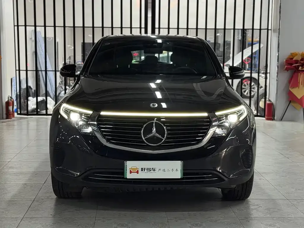 Mercedes-Benz EQC — фото 6