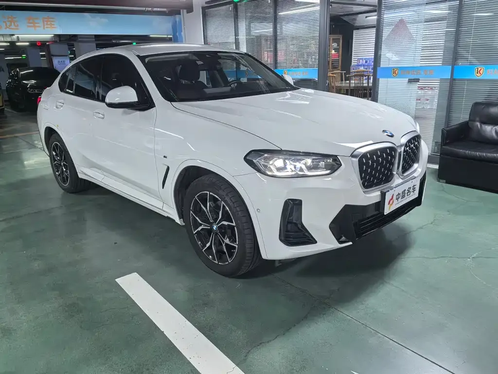 BMW X4 — фото 6
