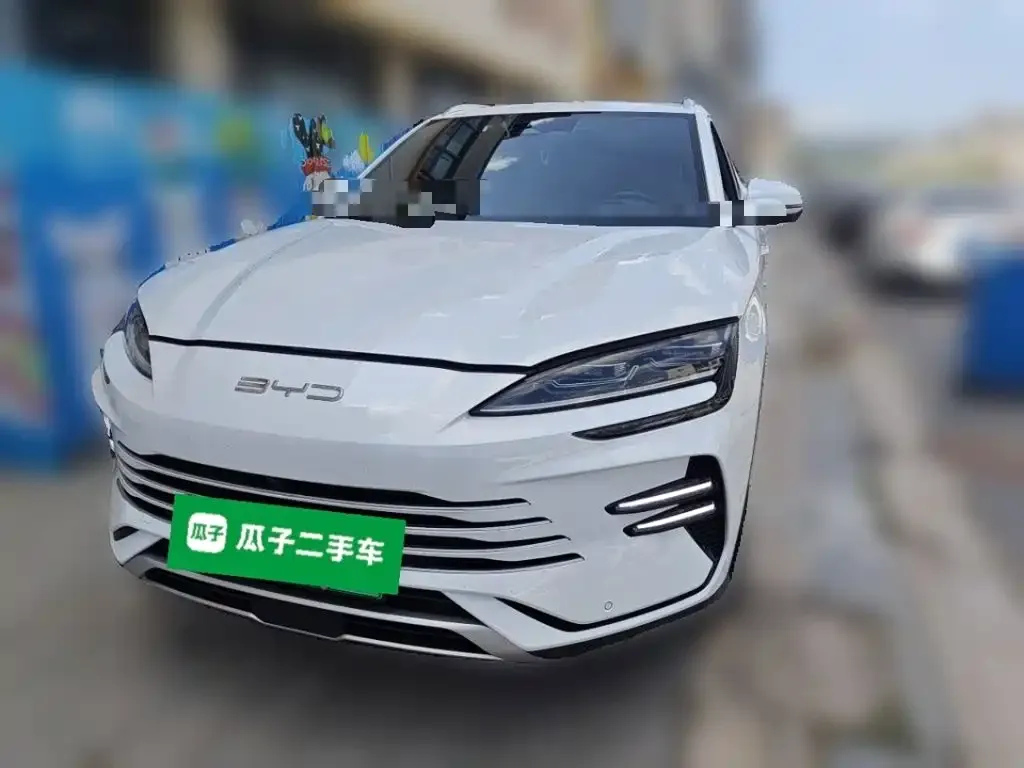 BYD PLUS New Energy — фото 1