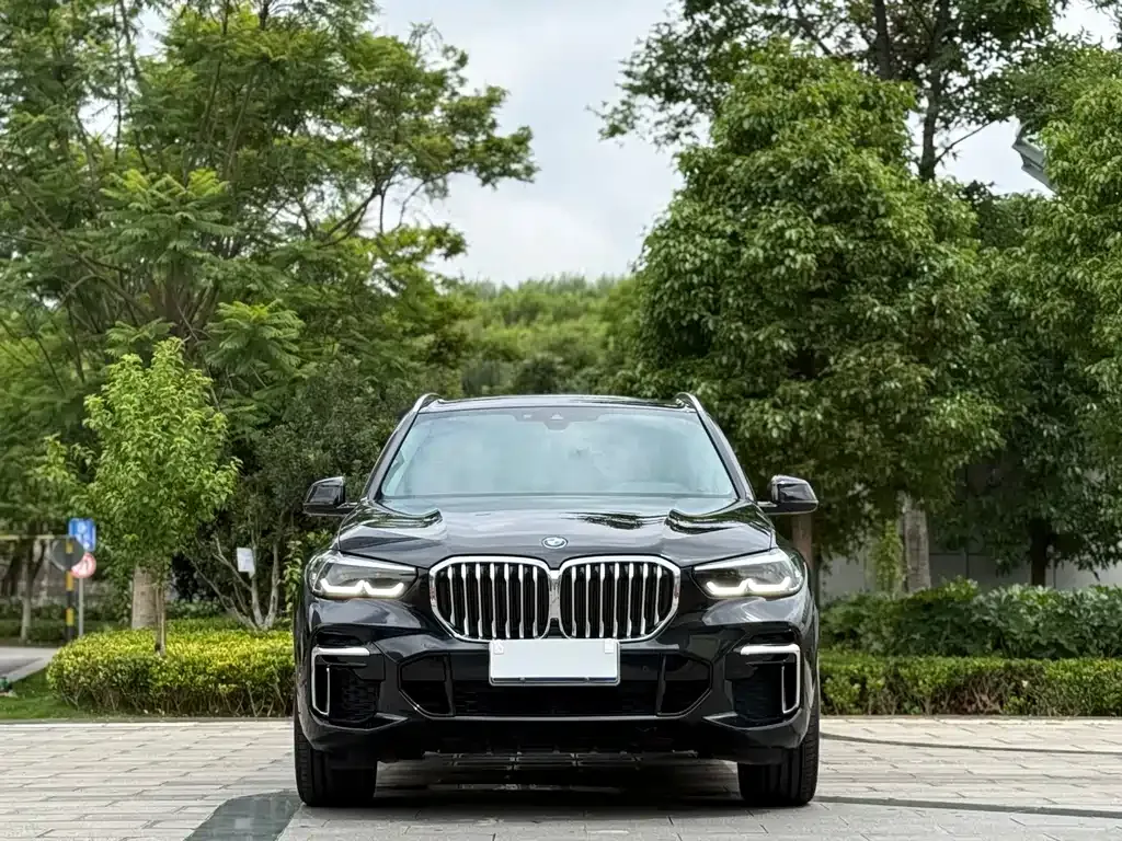 BMW X5 2022 из CN, фото 7