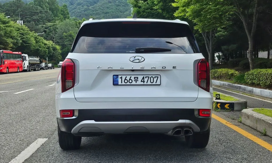 Hyundai Palisade — фото 8