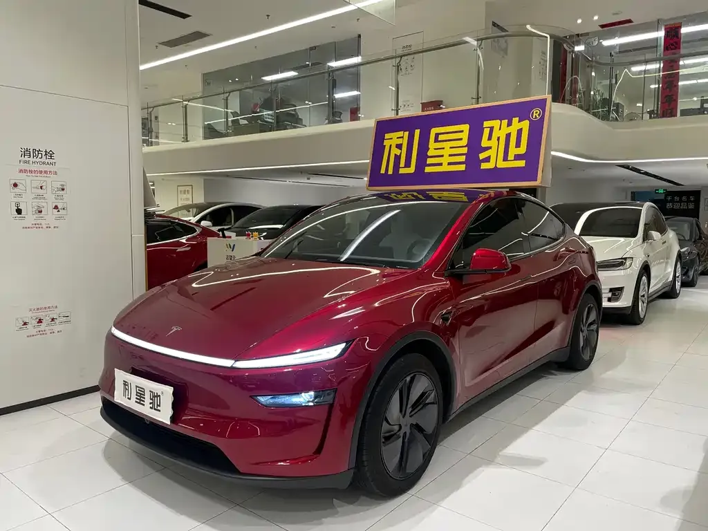 Tesla Model Y — фото 1