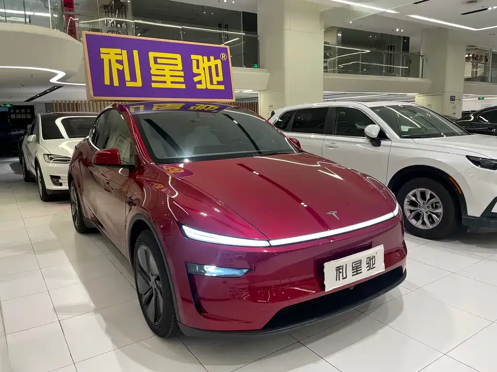 Tesla Model Y — фото 6