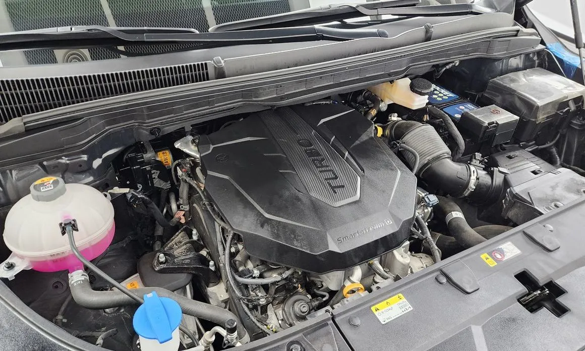 Kia Carnival — фото 10