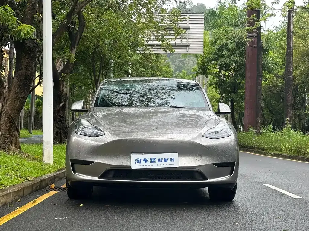 Tesla Model Y — фото 2