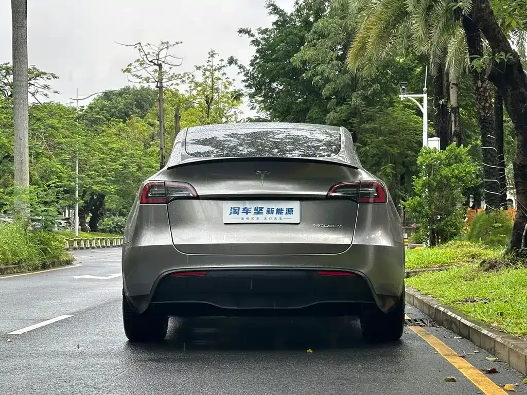 Tesla Model Y — фото 10