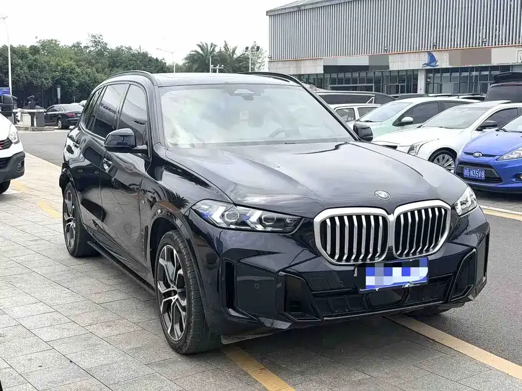 BMW X5 — фото 10