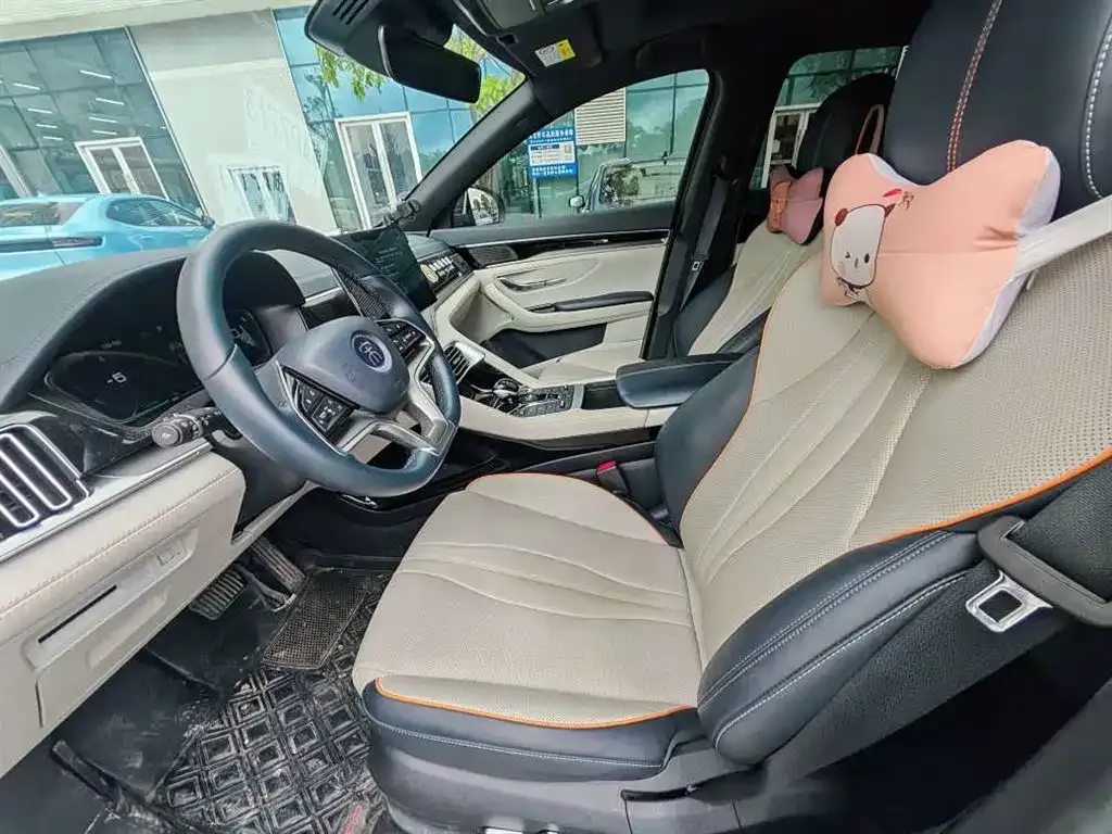 BYD PLUS New Energy — фото 4
