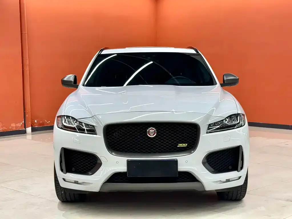 Jaguar F-PACE — фото 6