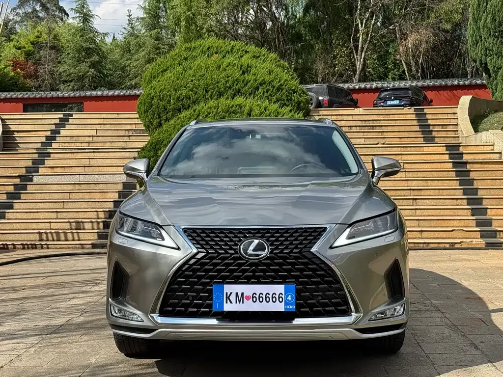 Lexus RX 2022 из CN, фото 9