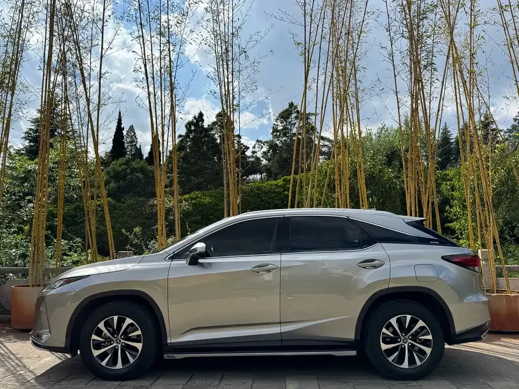 Lexus RX 2022 из CN, фото 5