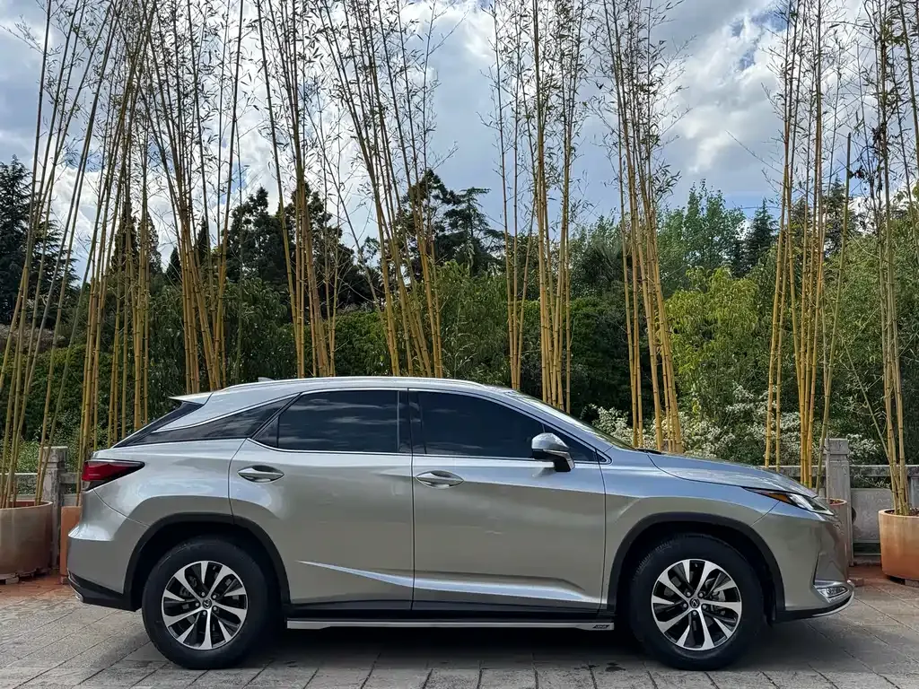 Lexus RX 2022 из CN, фото 8