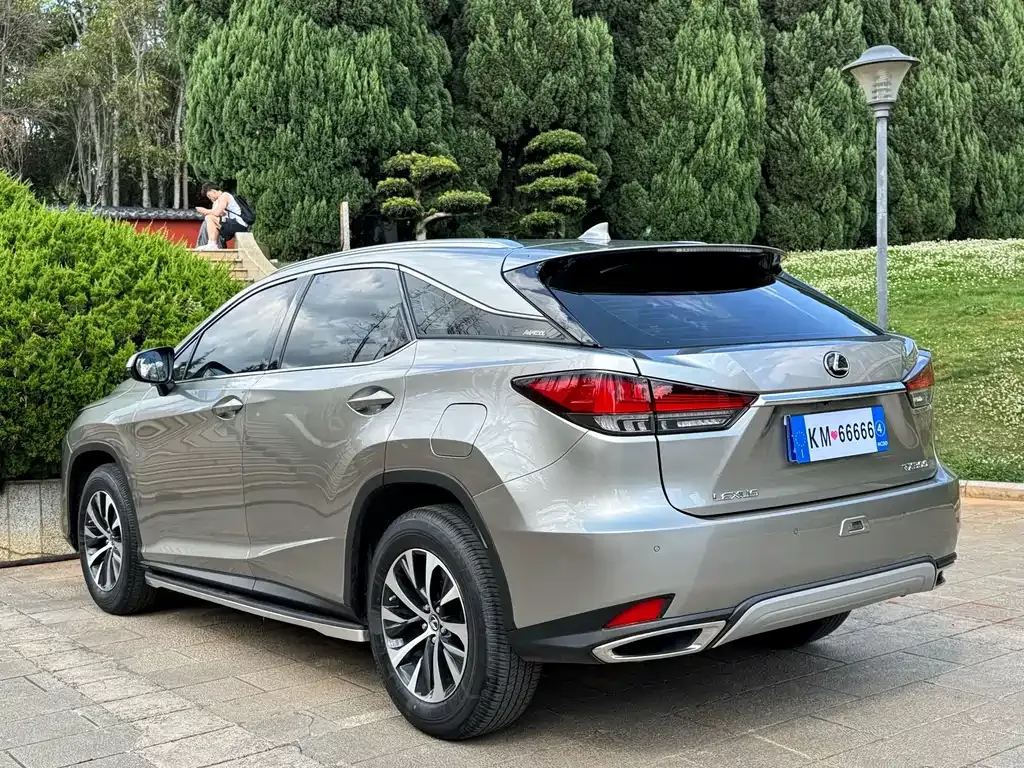 Lexus RX 2022 из CN, фото 6