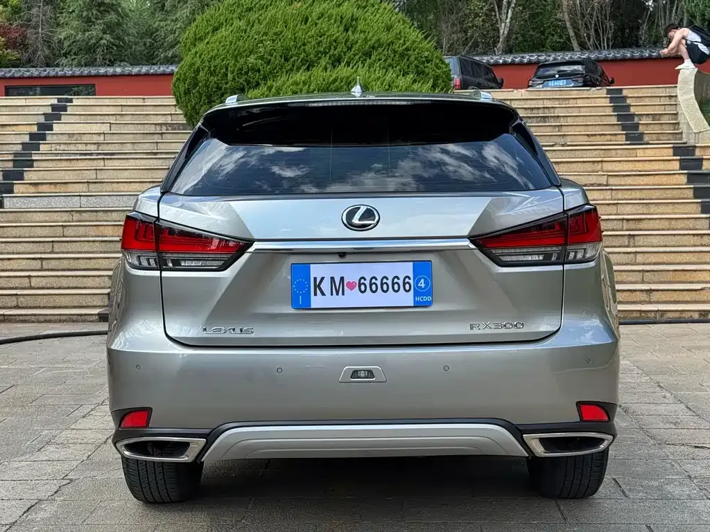 Lexus RX 2022 из CN, фото 4