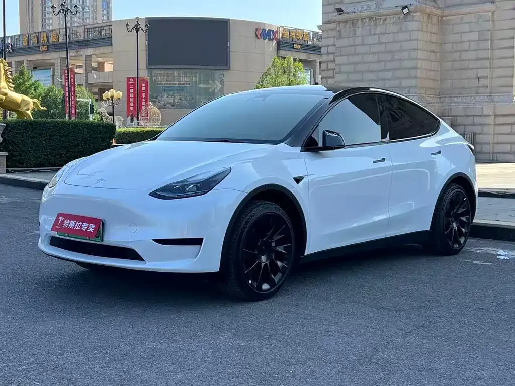 Tesla Model Y — фото 1