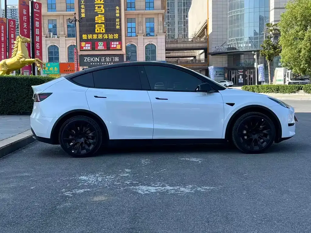 Tesla Model Y — фото 6