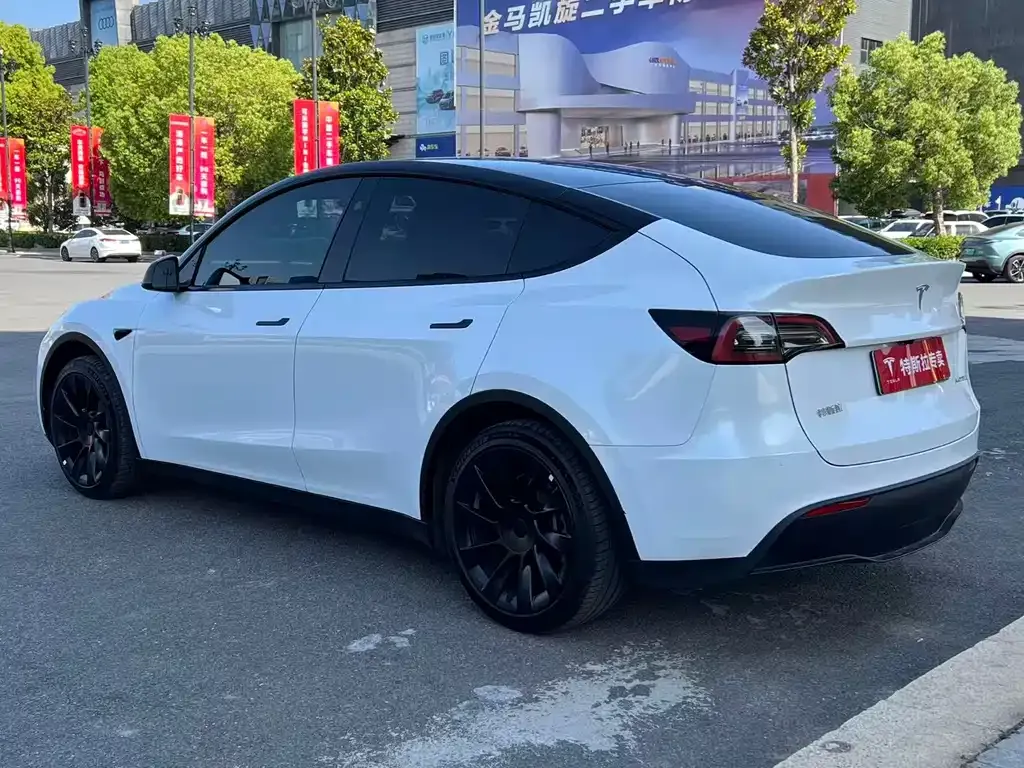 Tesla Model Y — фото 8