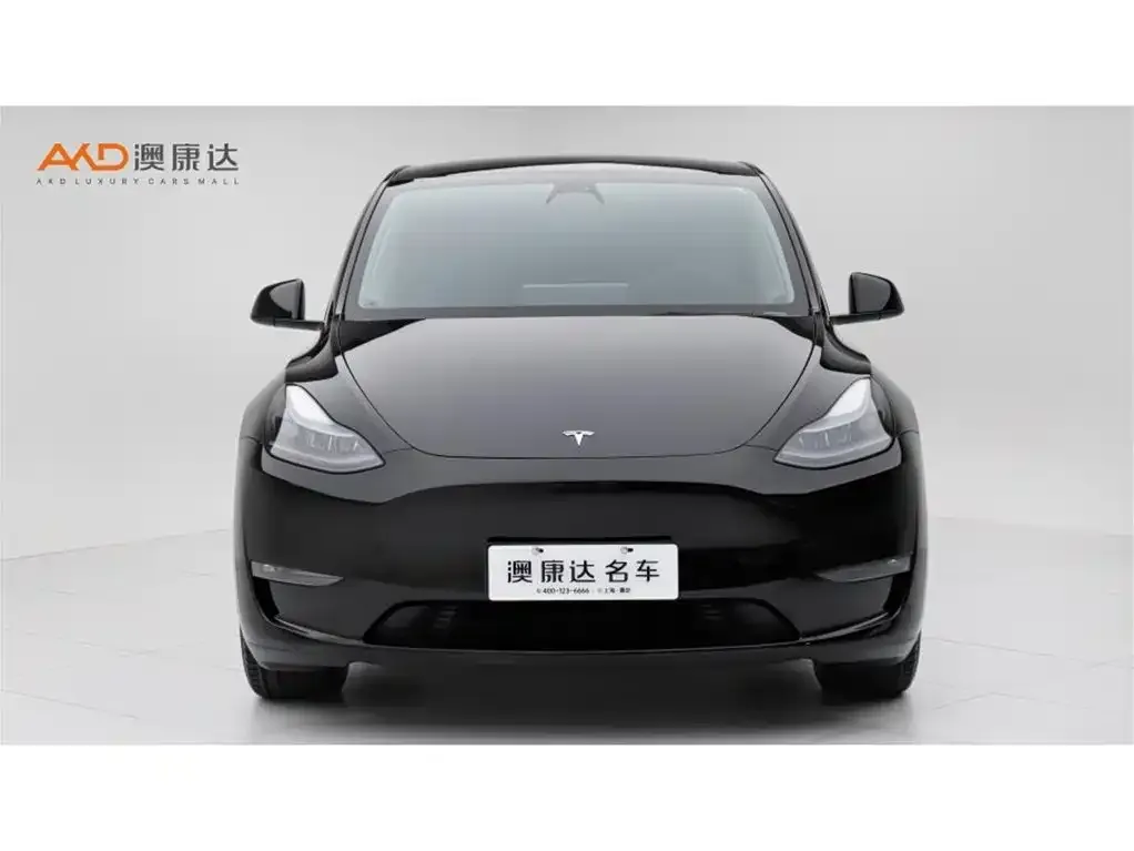 Tesla Model Y — фото 9