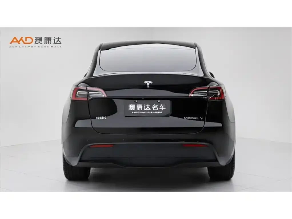 Tesla Model Y — фото 6