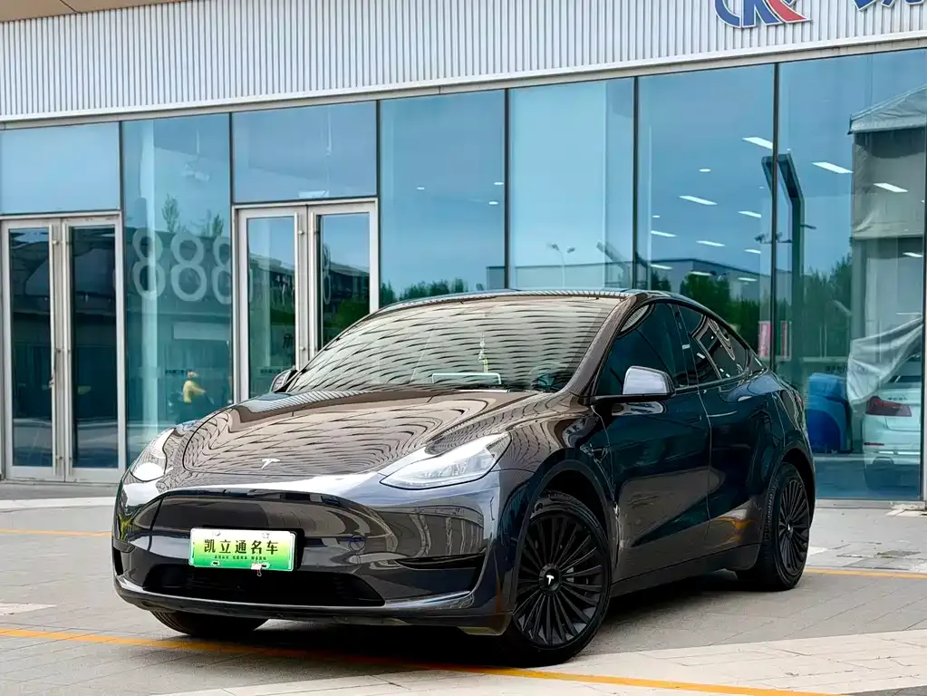 Tesla Model Y — фото 1