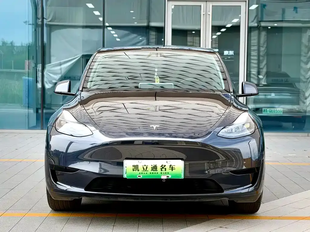 Tesla Model Y — фото 8