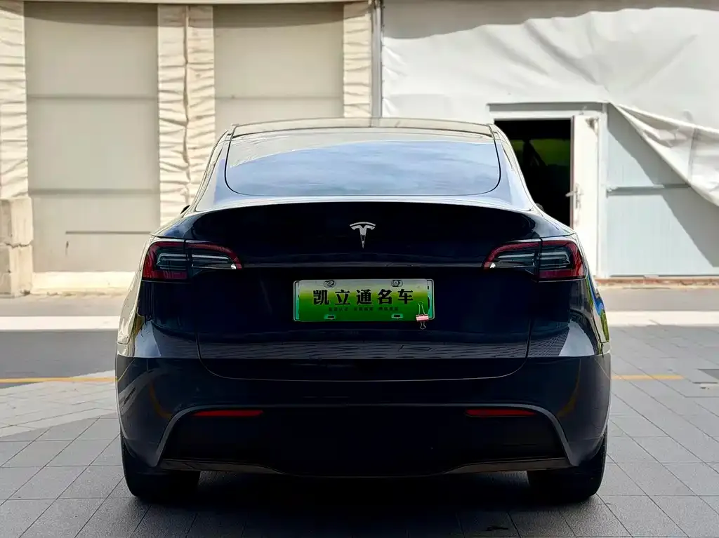 Tesla Model Y — фото 3