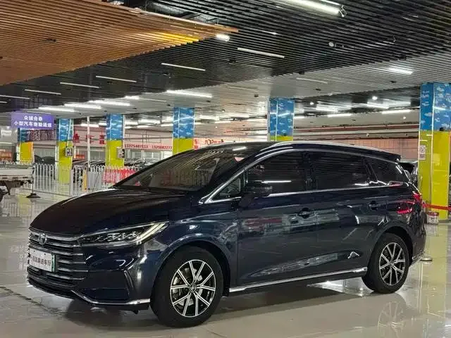 BYD MAX New Energy — фото 1