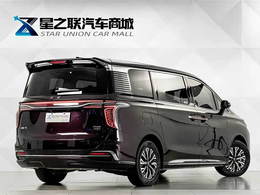 Hongqi HQ9 PHEV — фото 9