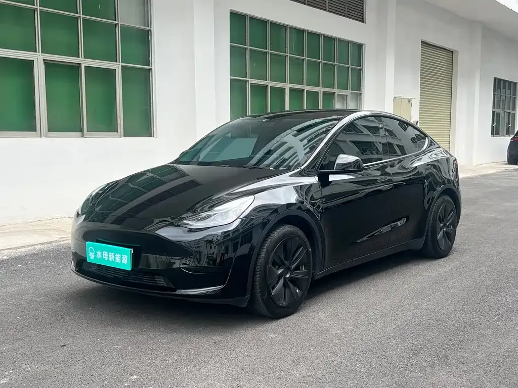 Tesla Model Y — фото 1