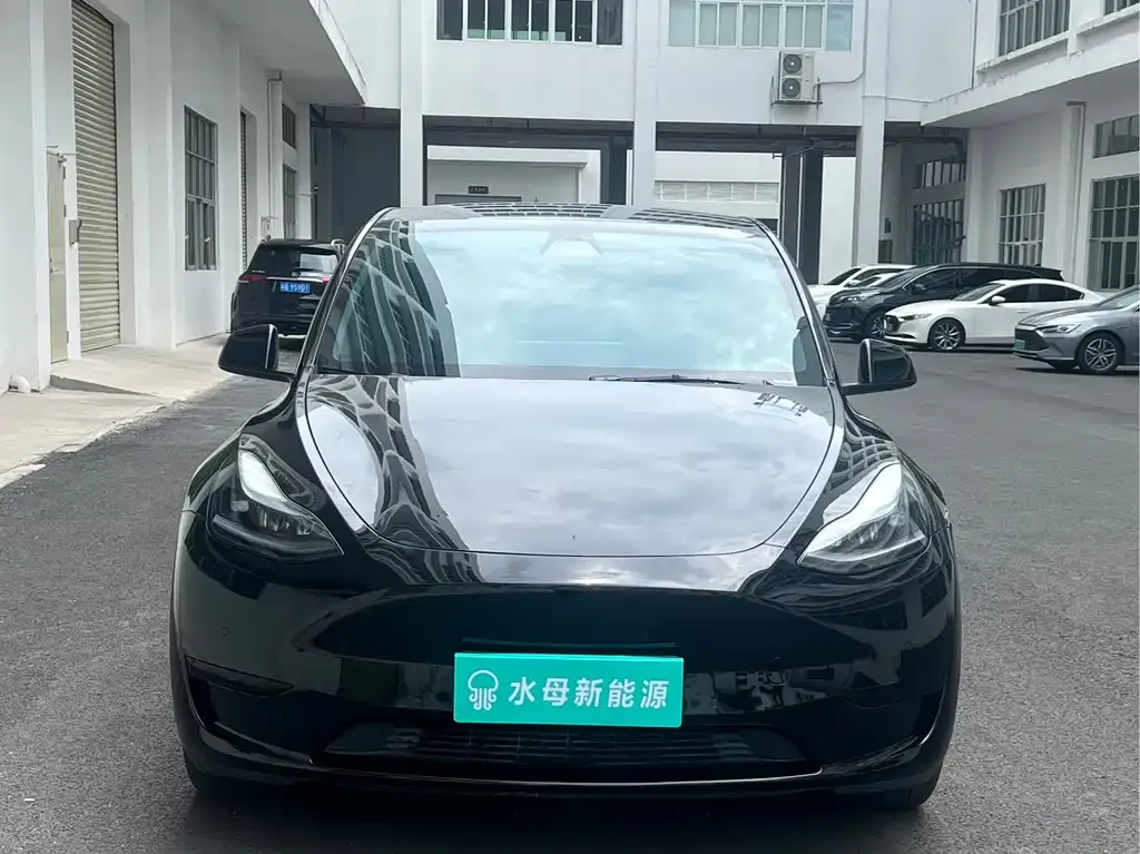Tesla Model Y — фото 3