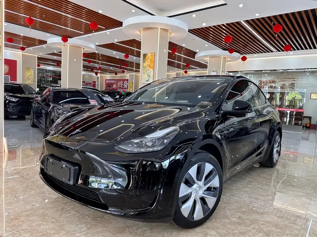 Tesla Model Y — фото 1