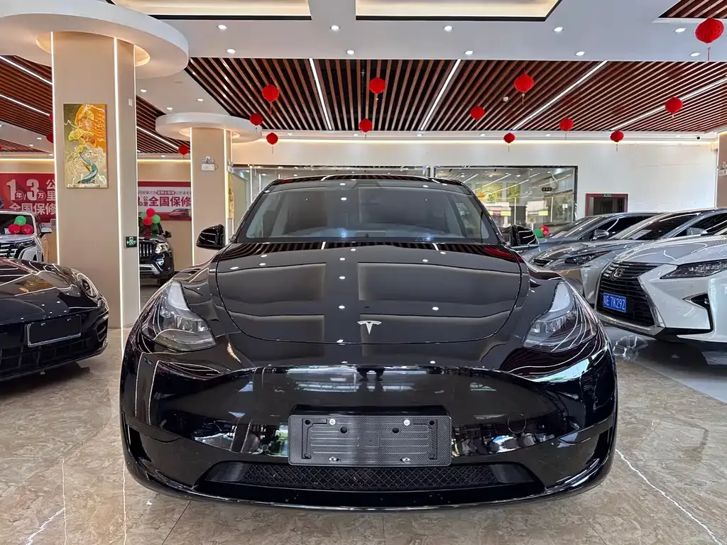 Tesla Model Y — фото 4
