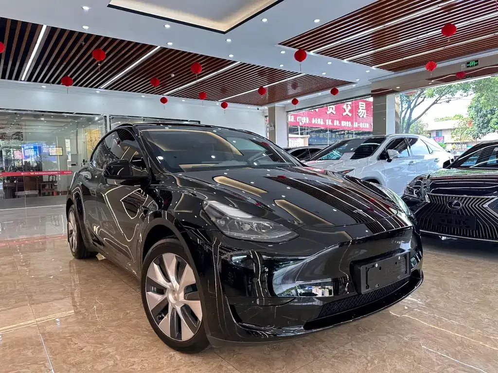 Tesla Model Y — фото 5