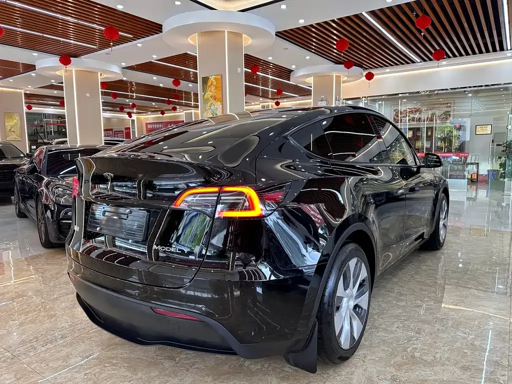 Tesla Model Y — фото 9