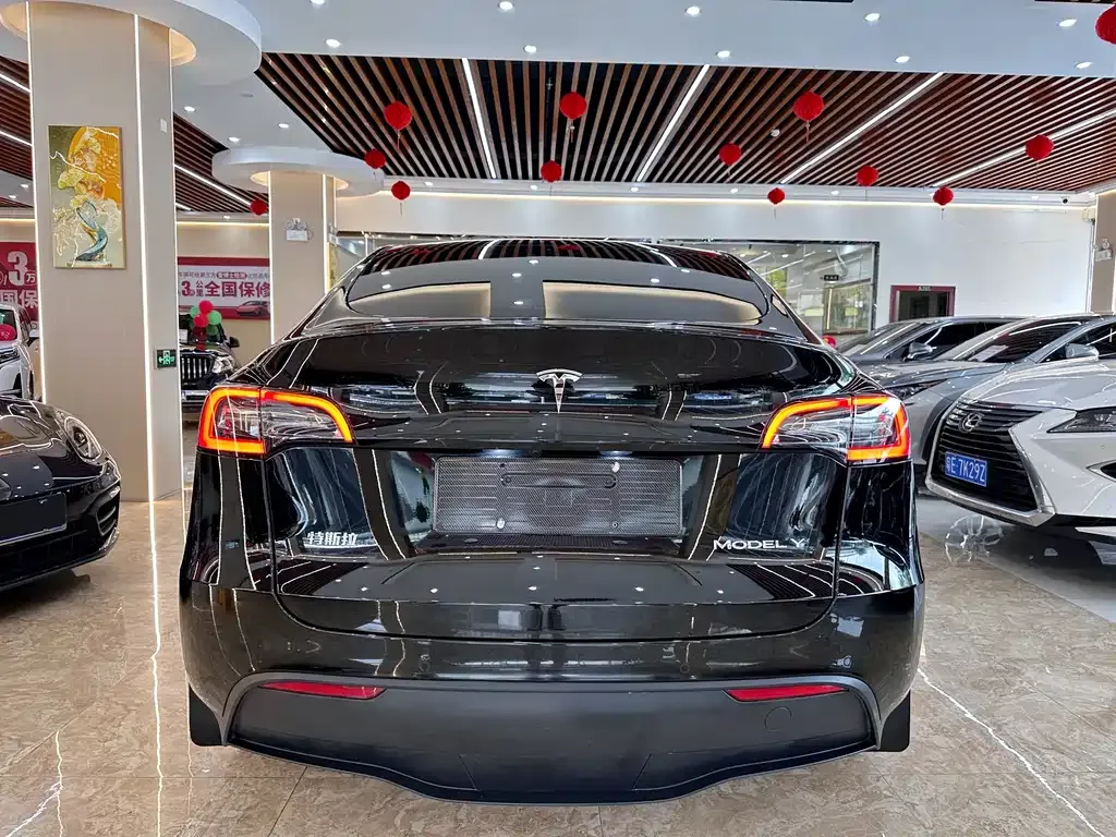 Tesla Model Y — фото 10