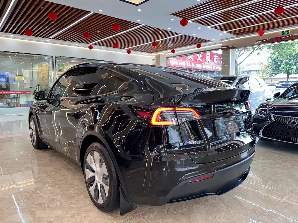 Tesla Model Y — фото 6