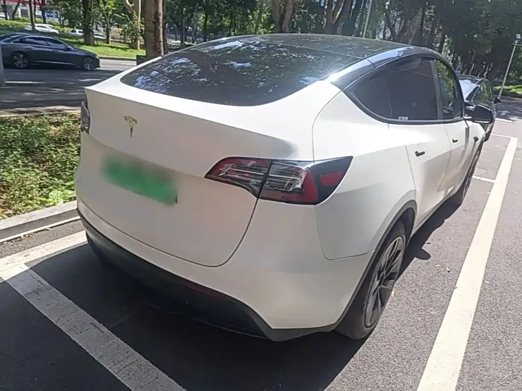 Tesla Model Y — фото 6