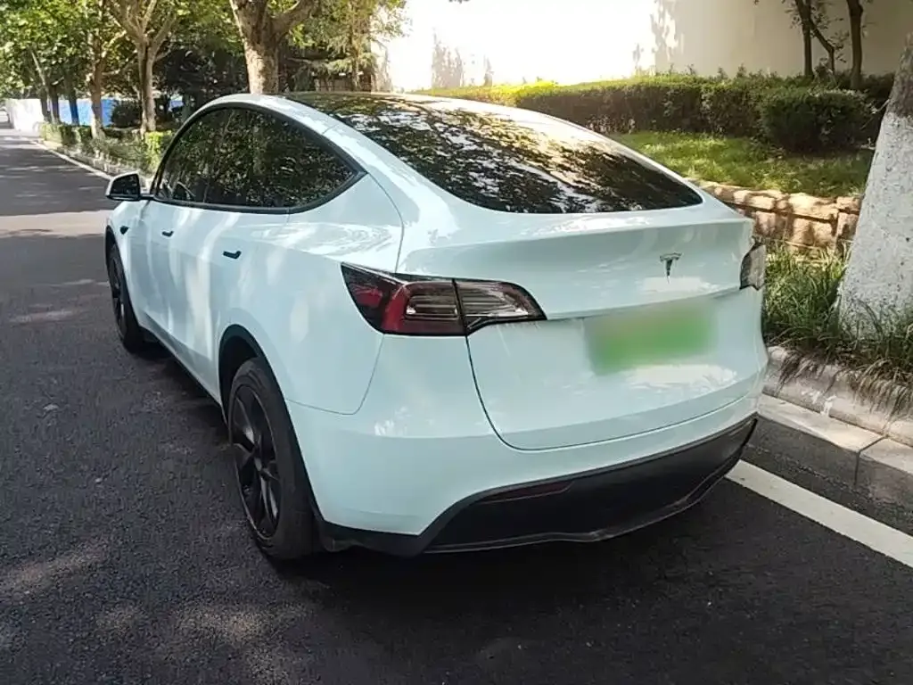 Tesla Model Y — фото 2